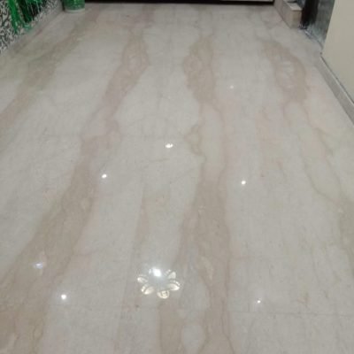 WhatsApp Image 2026-02-10 at 6.26.46 PM (2)